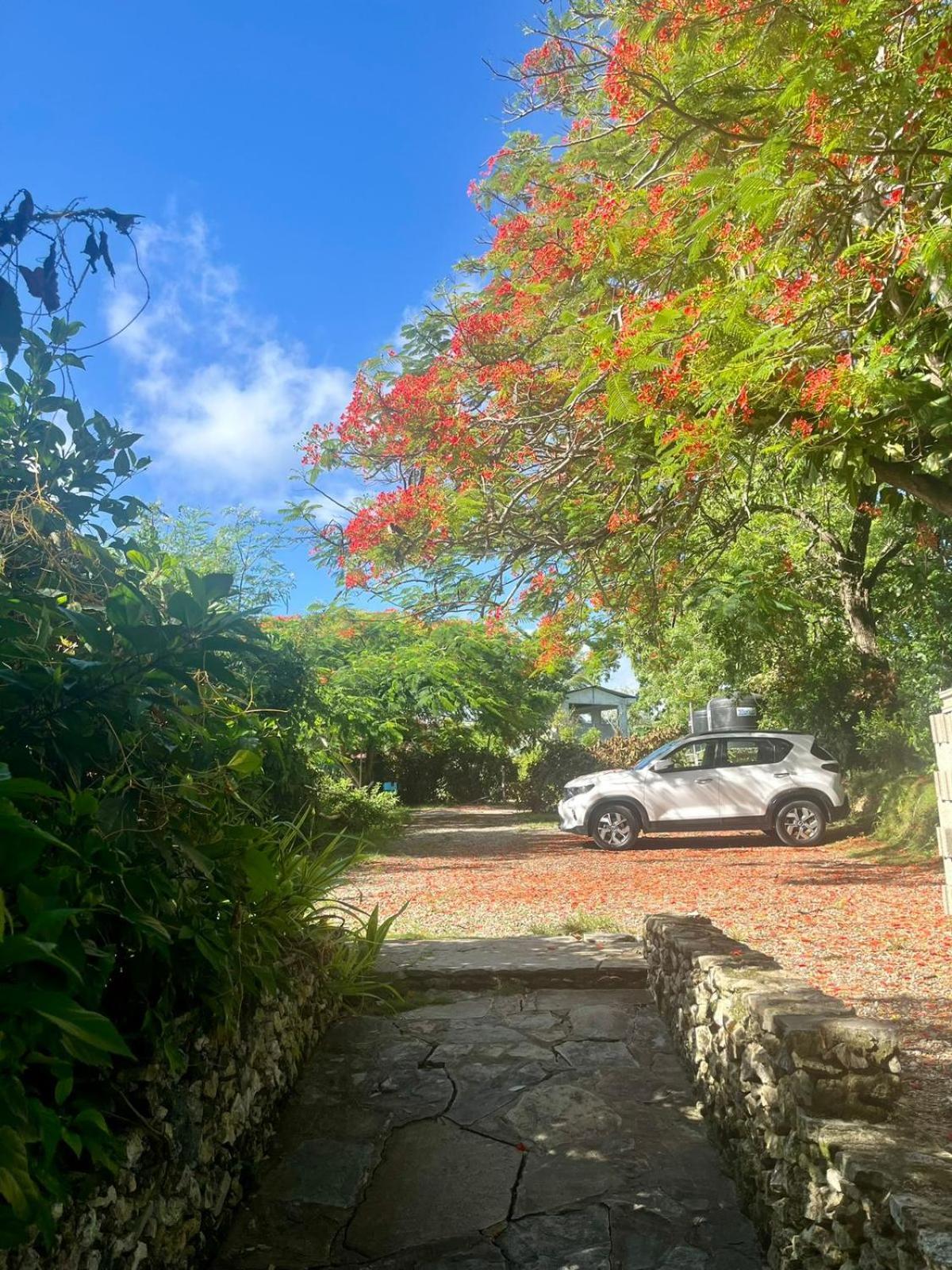 Ecolodge Tubagua Puerto Plata Екстер'єр фото