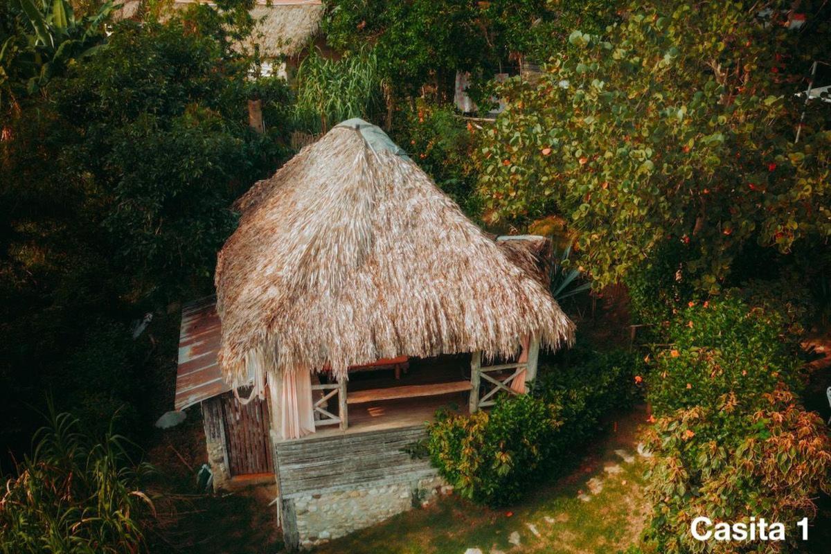 Ecolodge Tubagua Puerto Plata Екстер'єр фото